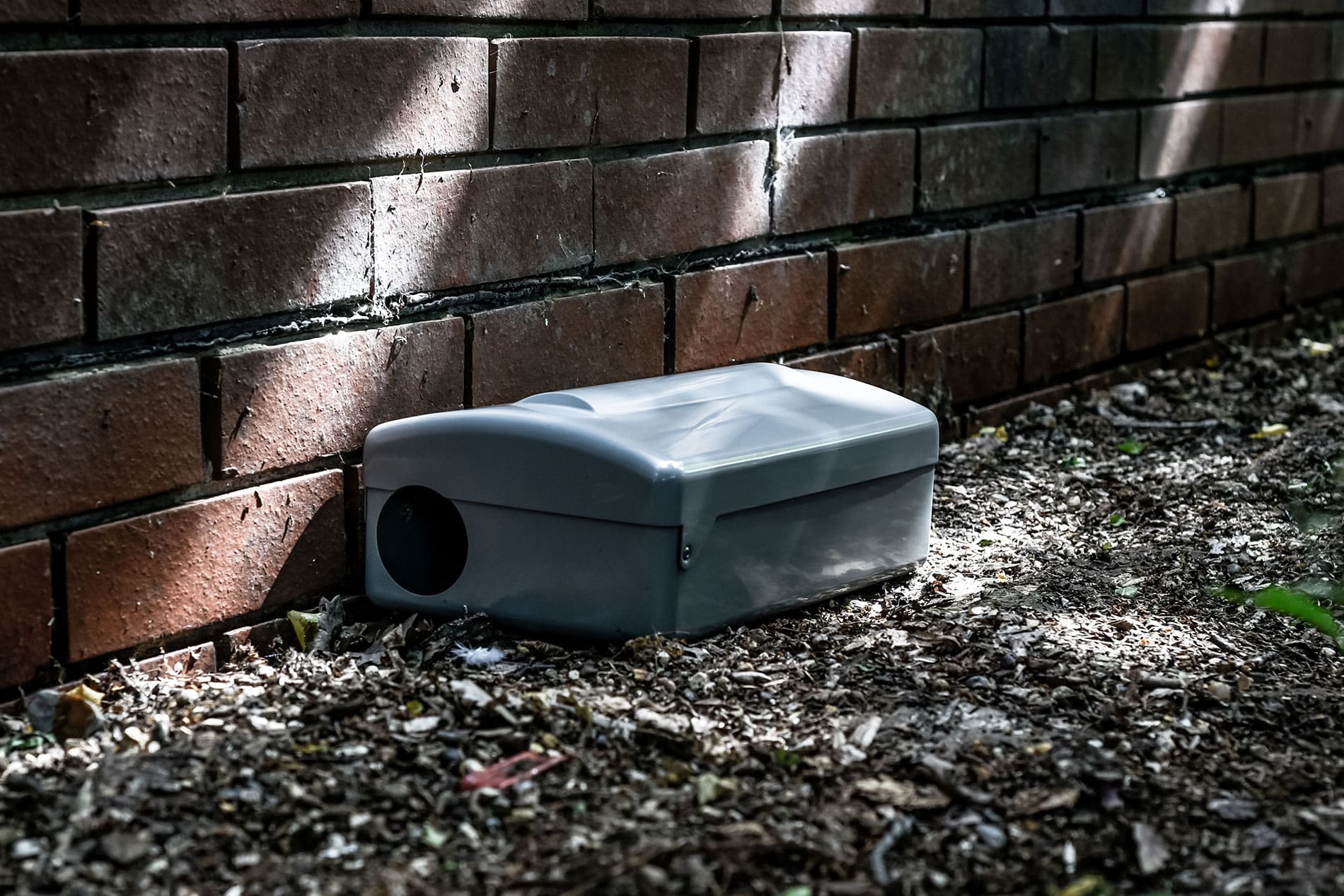 Rodent bait station on a commercial site